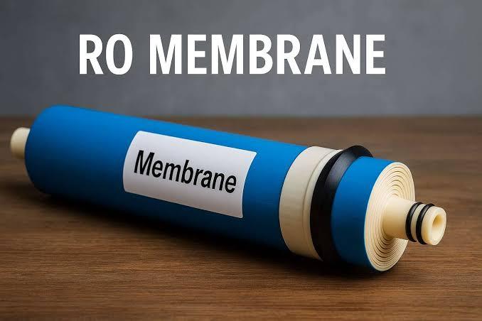 membrane